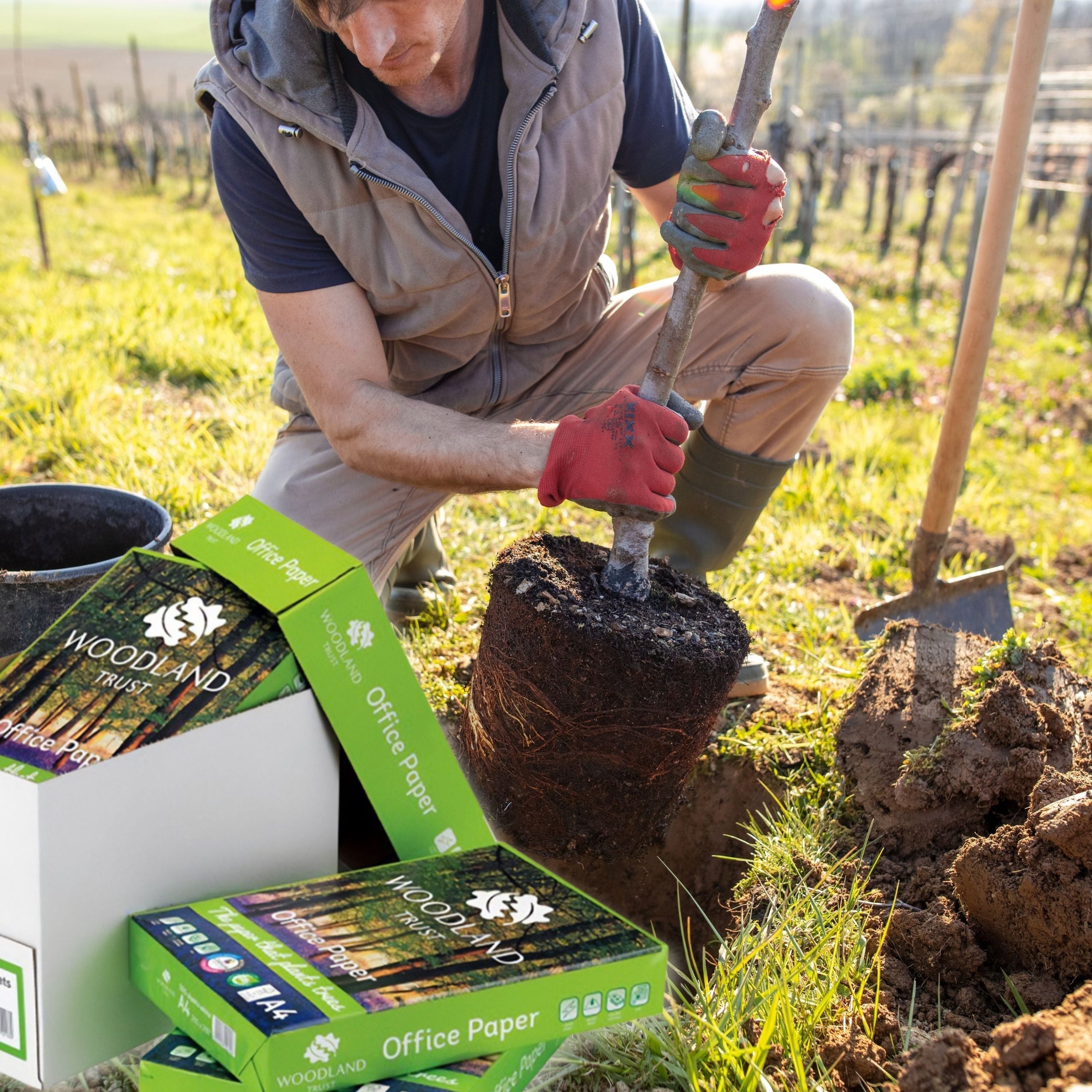 A Simple Switch: Office Paper That Gives Back to UK Woodlands