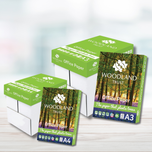 Home & Office - Printer / Copier Paper A4 or A3 x 2500 Sheets